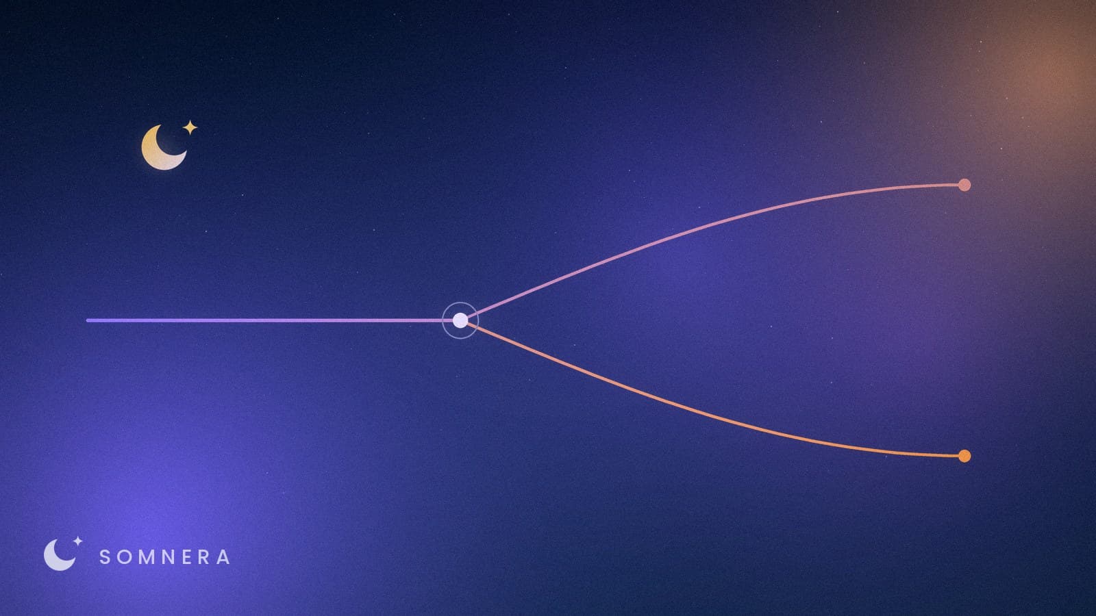 A single line arriving at a marked node and dividing into two paths.