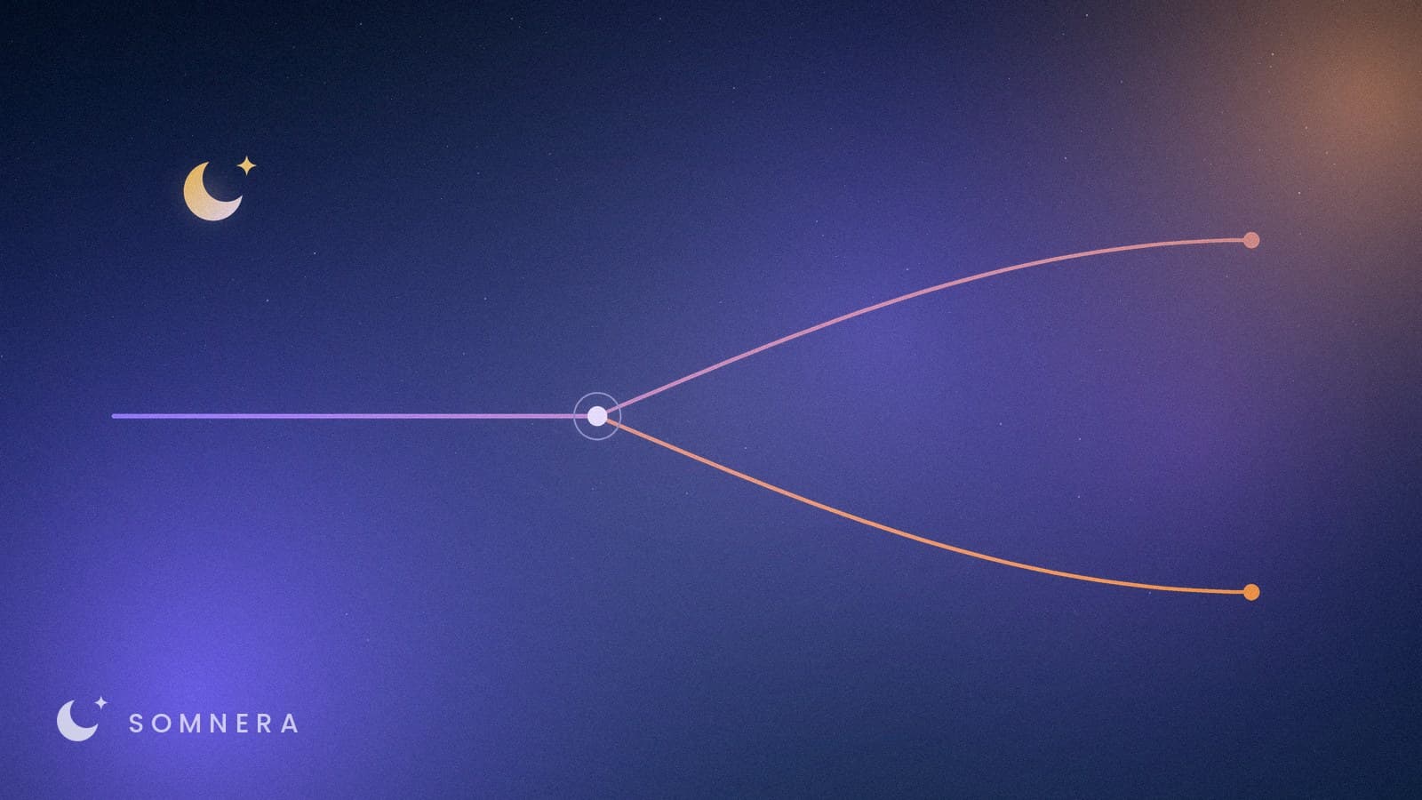 A single line arriving at a marked node and dividing into two paths.