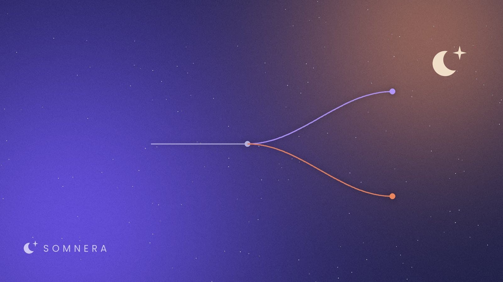 A path that splits into two directions at a single point